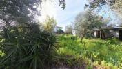 Vente Terrain Pedrogao-grande PEDRA³GA£O-GRANDE 360 m2 Portugal