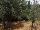 Vente Terrain Pedrogao-grande  1800 m2 Portugal
