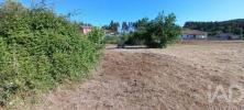 Vente Terrain Pedrogao-grande GRAA�A 2222 m2 Portugal