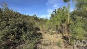 Vente Terrain Pedrogao-grande GRAA�A 840 m2 Portugal