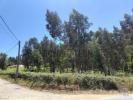 Vente Terrain Penafiel FONTE-ARCADA 4368 m2 Portugal