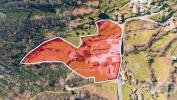 Vente Maison Penafiel TERMAS-DE-SA£O-VICENTE 504 m2 Portugal