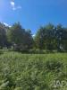 Vente Terrain Penafiel BUSTELO 10160 m2 Portugal