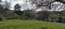 Vente Terrain Penamacor ARANHAS 1600 m2 Portugal