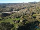Vente Terrain Penela  7007 m2 Portugal
