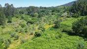 Vente Terrain Penela ESPINHAL 10000 m2 Portugal