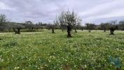 Vente Terrain Penela  2088 m2 Portugal