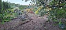 Vente Terrain Penela SAO-MIGUEL,-SANTA-EUFAMIA-E-RABAAAL 1950 m2 Portugal
