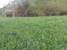 Vente Terrain Penela SA£O-MIGUEL,-SANTA-EUFA©MIA-E-RABAA§AL 470 m2 Portugal