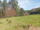 Vente Terrain Penela SA£O-MIGUEL,-SANTA-EUFA©MIA-E-RABAA§AL 3870 m2 Portugal