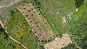 Vente Terrain Penela  4430 m2 Portugal