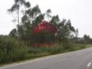 Vente Terrain Peniche ATOUGUIA-DA-BALEIA 17200 m2 Portugal