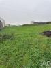 Vente Terrain Peniche ATOUGUIA-DA-BALEIA 9600 m2 Portugal