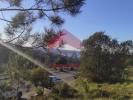 Vente Terrain Pombal POMBAL 297 m2 Portugal