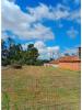 Vente Terrain Pombal GUIA,-ILHA-E-MATA-MOURISCA 780 m2 Portugal