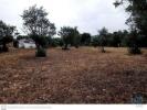Vente Immeuble Ponte-de-sor PONTE-DE-SOR,-TRAMAGA-E-VALE-DE-AA§OR 80 m2 Portugal