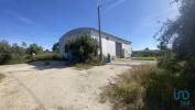 Vente Terrain Ponte-de-sor PONTE-DE-SOR,-TRAMAGA-E-VALE-DE-AAOR 32767 m2 Portugal