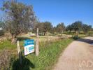 Vente Terrain Ponte-de-sor GALVEIAS 20120 m2 Portugal
