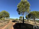 Vente Maison Portel AMIEIRA-E-ALQUEVA 36 m2 Portugal