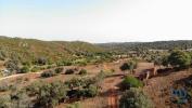 Vente Terrain Portimao 32767 m2 Portugal