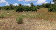 Vente Terrain Portimao  2000 m2 Portugal