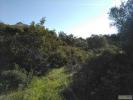 Vente Terrain Portimao  200 m2 Portugal