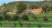 Vente Terrain Portimao MEXILHOEIRA-GRANDE 10000 m2 Portugal