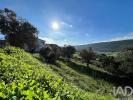 Vente Terrain Porto-de-mos PORTO-DE-MA�S-SA�O-JOA�O-BAPTISTA-E-SA�O-PEDRO 809 m2 Portugal