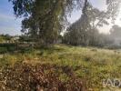 Vente Terrain Porto-de-mos PEDREIRAS 1800 m2 Portugal