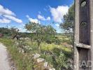 Vente Terrain Porto-de-mos ARRIMAL-E-MENDIGA 880 m2 Portugal