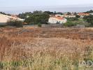 Vente Terrain Porto-santo  485 m2 Portugal