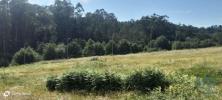 Vente Terrain Povoa-de-lanhoso FONTE-ARCADA-E-OLIVEIRA 405 m2 Portugal