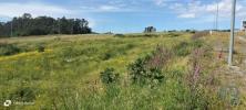 Vente Terrain Povoa-de-lanhoso FONTE-ARCADA-E-OLIVEIRA 405 m2 Portugal