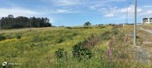 Vente Terrain Povoa-de-lanhoso FONTE-ARCADA-E-OLIVEIRA 441 m2 Portugal