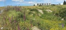 Vente Terrain Povoa-de-lanhoso FONTE-ARCADA-E-OLIVEIRA 405 m2 Portugal