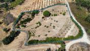 Vente Terrain Proenca-a-nova SOBREIRA-FORMOSA-E-ALVITO-DA-BEIRA 8495 m2 Portugal