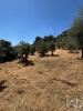 Vente Terrain Proenca-a-nova PROENA�A-A-NOVA-E-PERAL 3080 m2 Portugal