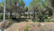 Vente Terrain Quinta-do-lago  16070 m2 Portugal