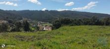 Vente Terrain Rebordoes SA�O-TOMA�-NEGRELOS 31109 m2 Portugal