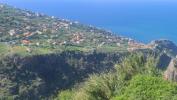 Vente Terrain Ribeira-brava  1257 m2 Portugal