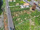 Vente Terrain Ribeira-brava RIBEIRA-BRAVA 493 m2 Portugal