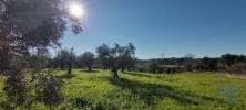 Vente Terrain Rio-maior FRAGUAS 427 m2 Portugal