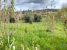 Vente Terrain Rio-maior OUTEIRO-DA-CORTIA�ADA-E-ARRUDA-DOS-PISA�ES 1540 m2 Portugal