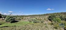 Vente Terrain Rio-maior SA£O-JOA£O-DA-RIBEIRA-E-RIBEIRA-DE-SA£O-JOA£O 29080 m2 Portugal