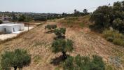 Vente Terrain Rio-maior  3650 m2 Portugal