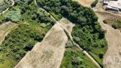 Vente Terrain Rio-maior AZAMBUJEIRA-E-MALAQUEIJO 12120 m2 Portugal