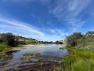 Vente Terrain Safara SAFARA-E-SANTO-ALEIXO-DA-RESTAURAAAO 32767 m2 Portugal