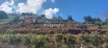 Vente Terrain Santa-cruz  300 m2 Portugal