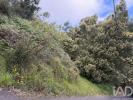 Vente Terrain Santa-cruz SANTA-CRUZ 4720 m2 Portugal