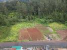 Vente Terrain Santana SA£O-JORGE 3630 m2 Portugal
